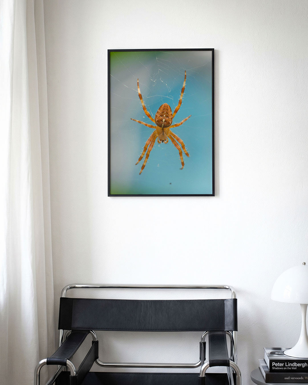 Spin in web poster – derde productweergave – deze poster toont een spin die in het midden van zijn web hangt, met een blauwe