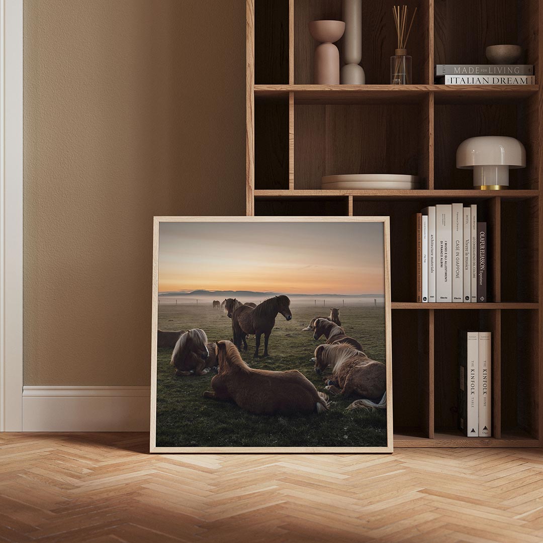 Rustige paardenweide poster – derde productweergave – een weide met paarden in rust, omgeven door een ochtendnevel en een