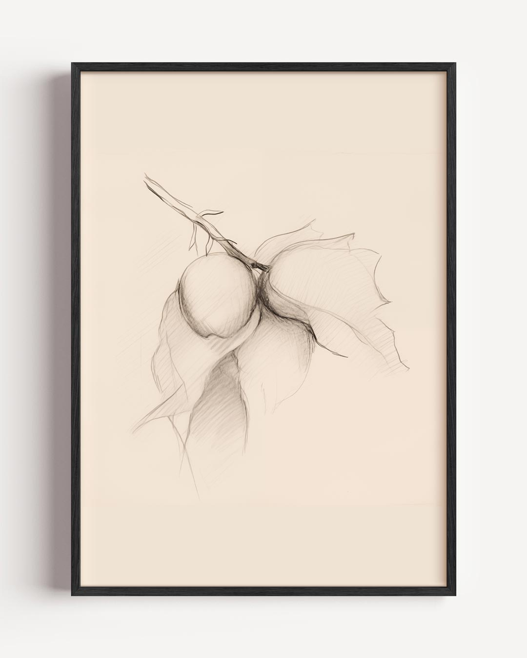 Elegante Botanische Potloodtekening – botanische portret poster als wanddecoratie