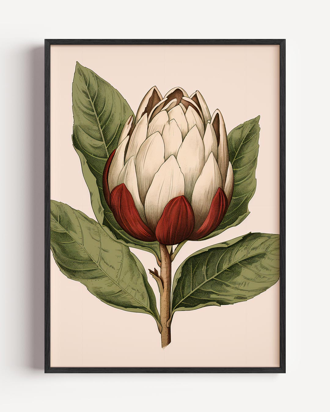 Botanische Artisjok Illustratie – keuken portret poster als wanddecoratie