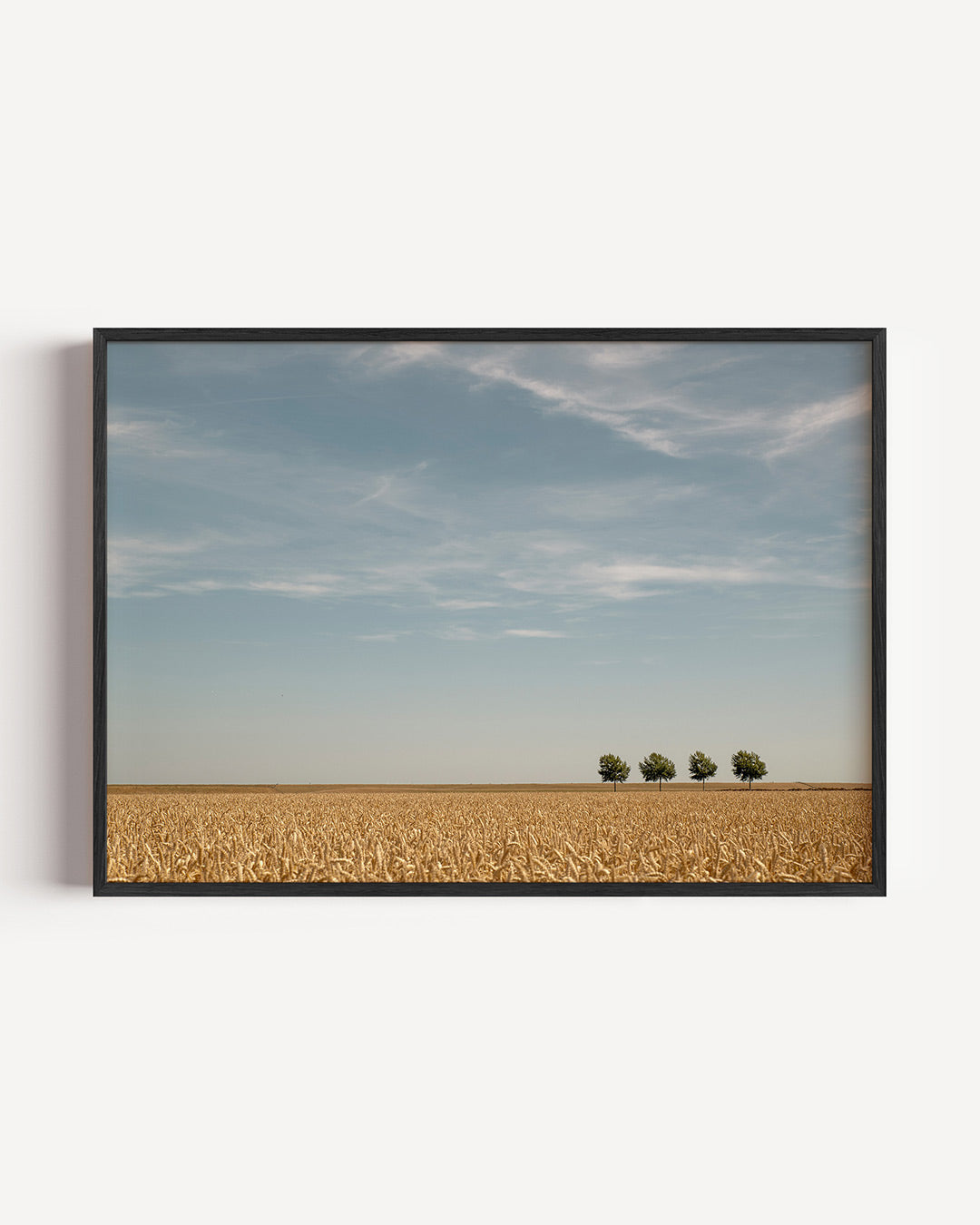 Rustige landschap poster – liggende wanddecoratie – deze poster toont een uitgestrekt veld met vier bomen aan de horizon
