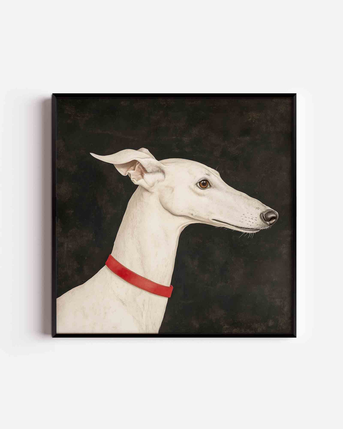Witte windhond – moderne vierkante poster als wanddecoratie