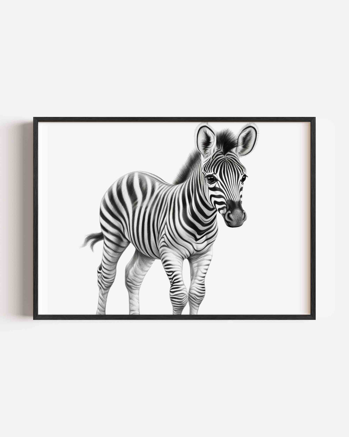 Zebra – dieren landscape poster als wanddecoratie