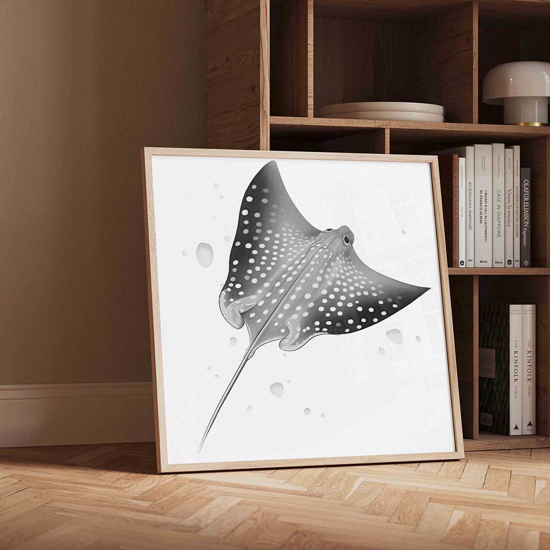 Pijlstaartrog – geïllustreerde wandkunst als vierkante poster