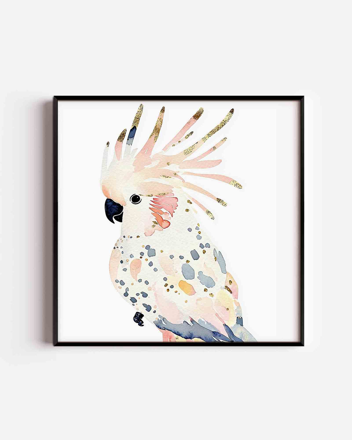 Papegaai met kleurrijke veren – vierkante dierenposter als wanddecoratie