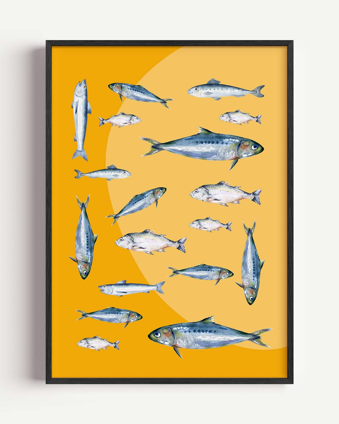 Onderwater Avontuur – dieren portret poster als wanddecoratie