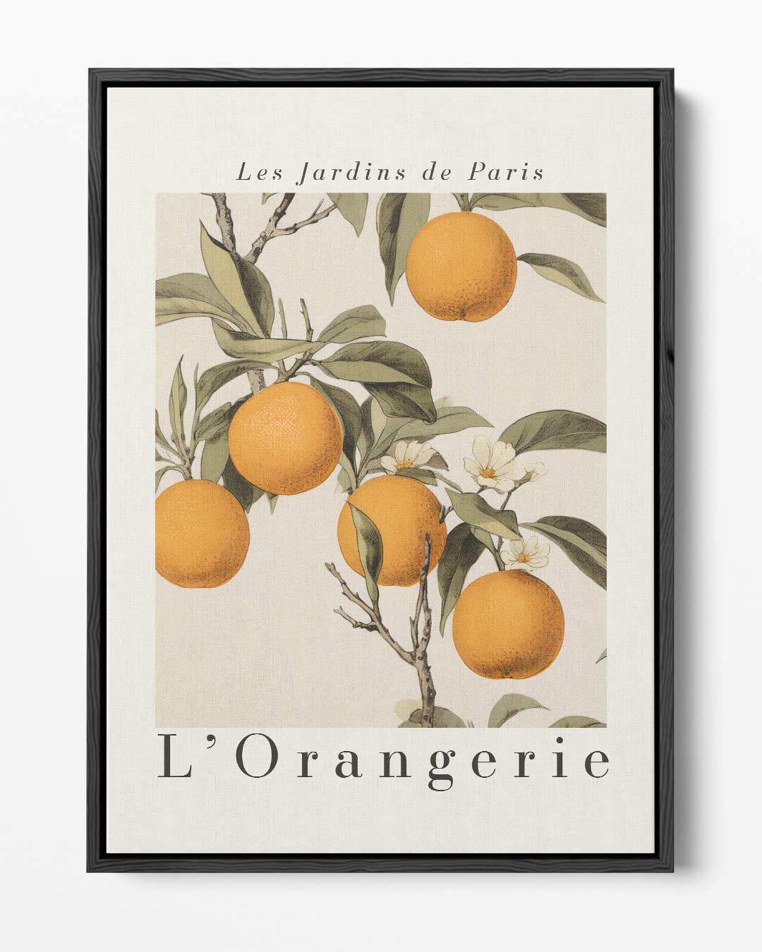 Les Jardins de Paris L'Orangerie – portret kunstwerk als wanddecoratie