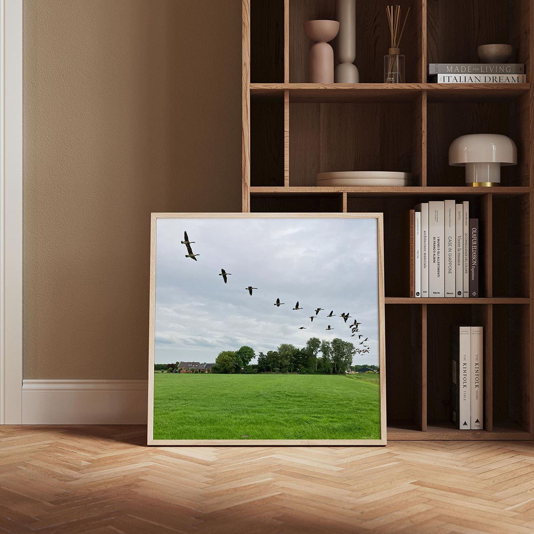 Vliegende vogels poster – derde productweergave – een groep vogels vliegt in formatie over een uitgestrekt groen veld met
