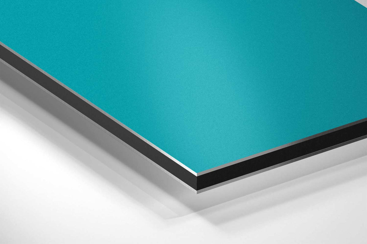 Vloeiende Vormen Duet – canvas kunstwerk als wanddecoratie