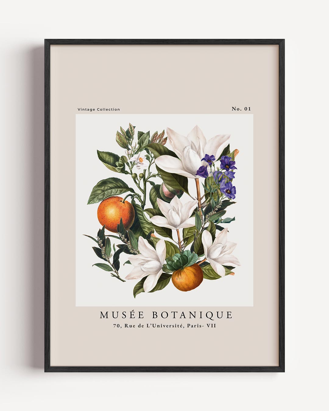 Vintage Botanische Kunstposter – botanische portret poster als wanddecoratie