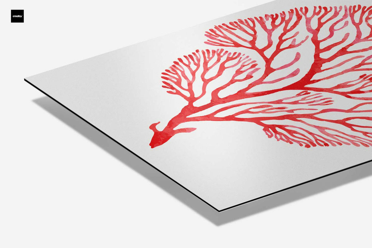 Rode Koraal Waterverfkunst – canvas kunstwerk als wanddecoratie