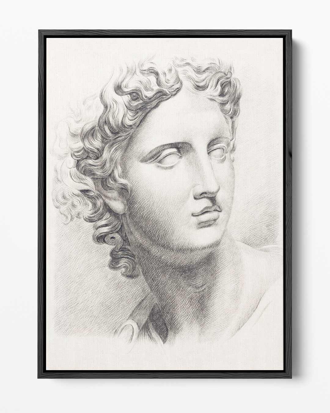 Klassieke Elegantie Schets – portret kunstwerk als wanddecoratie