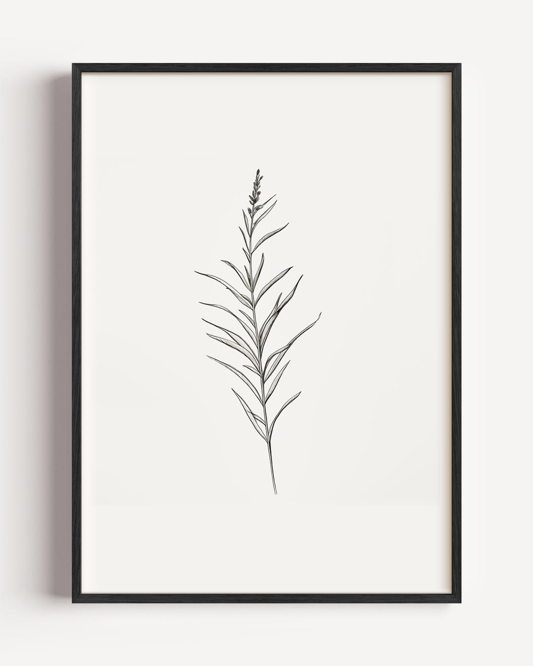 Botanische Zwart-Wit – botanische portret poster als wanddecoratie
