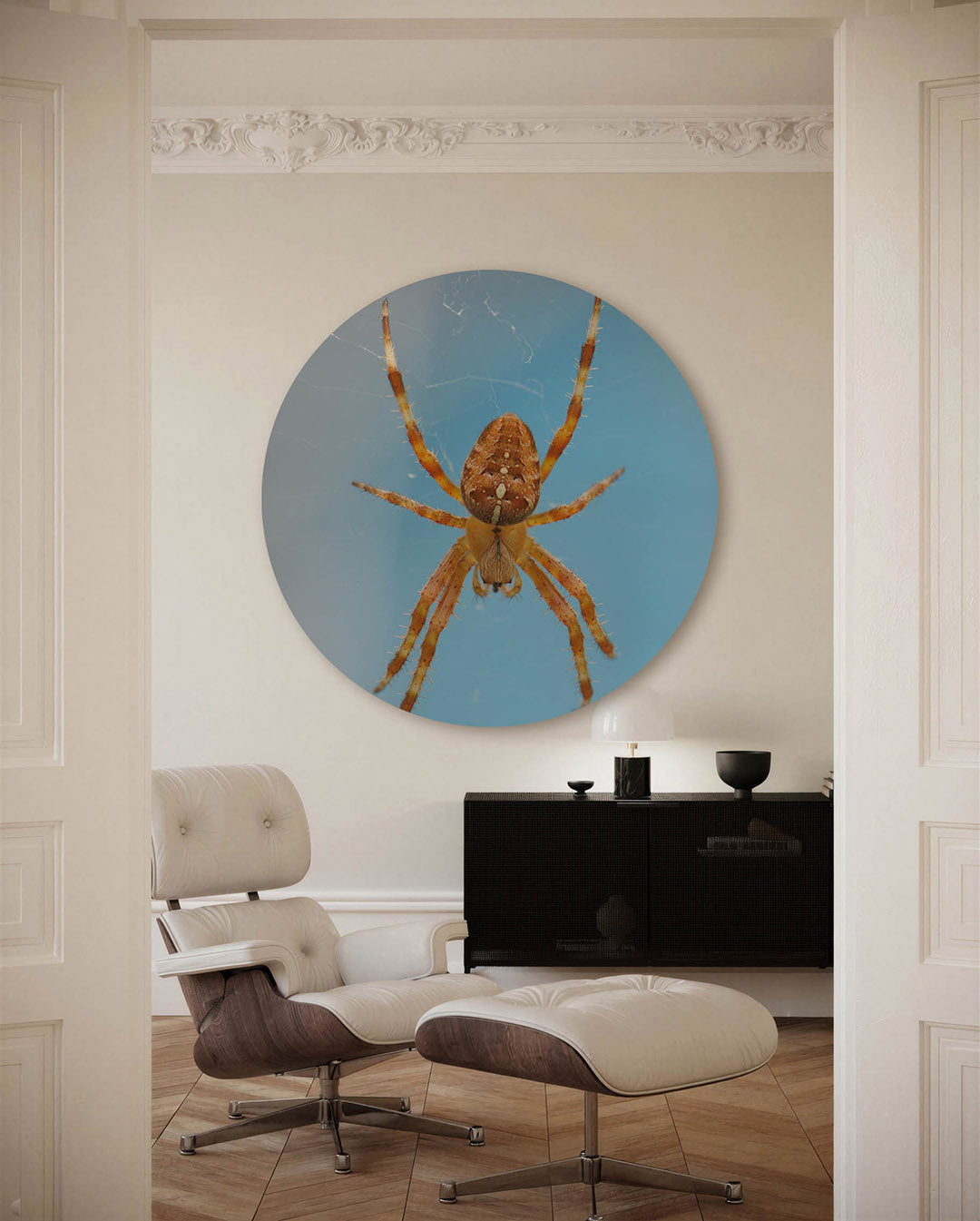 Spin op web – fotografische muurcirkel voor aan de muur
