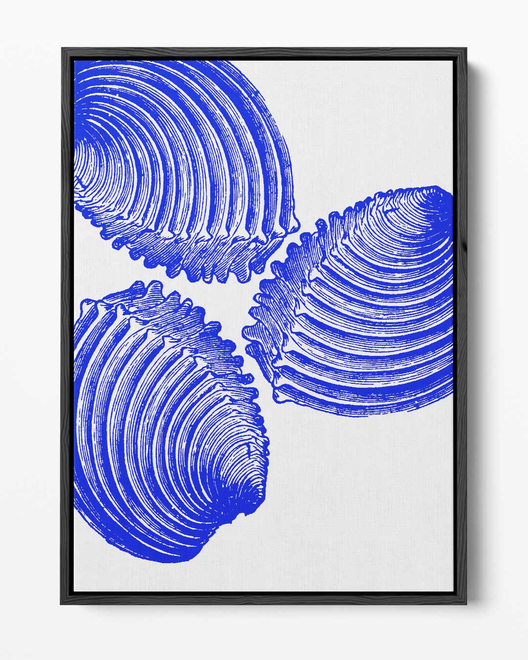Blauwe Schelp Trio Kunstwerk – portret kunstwerk als wanddecoratie
