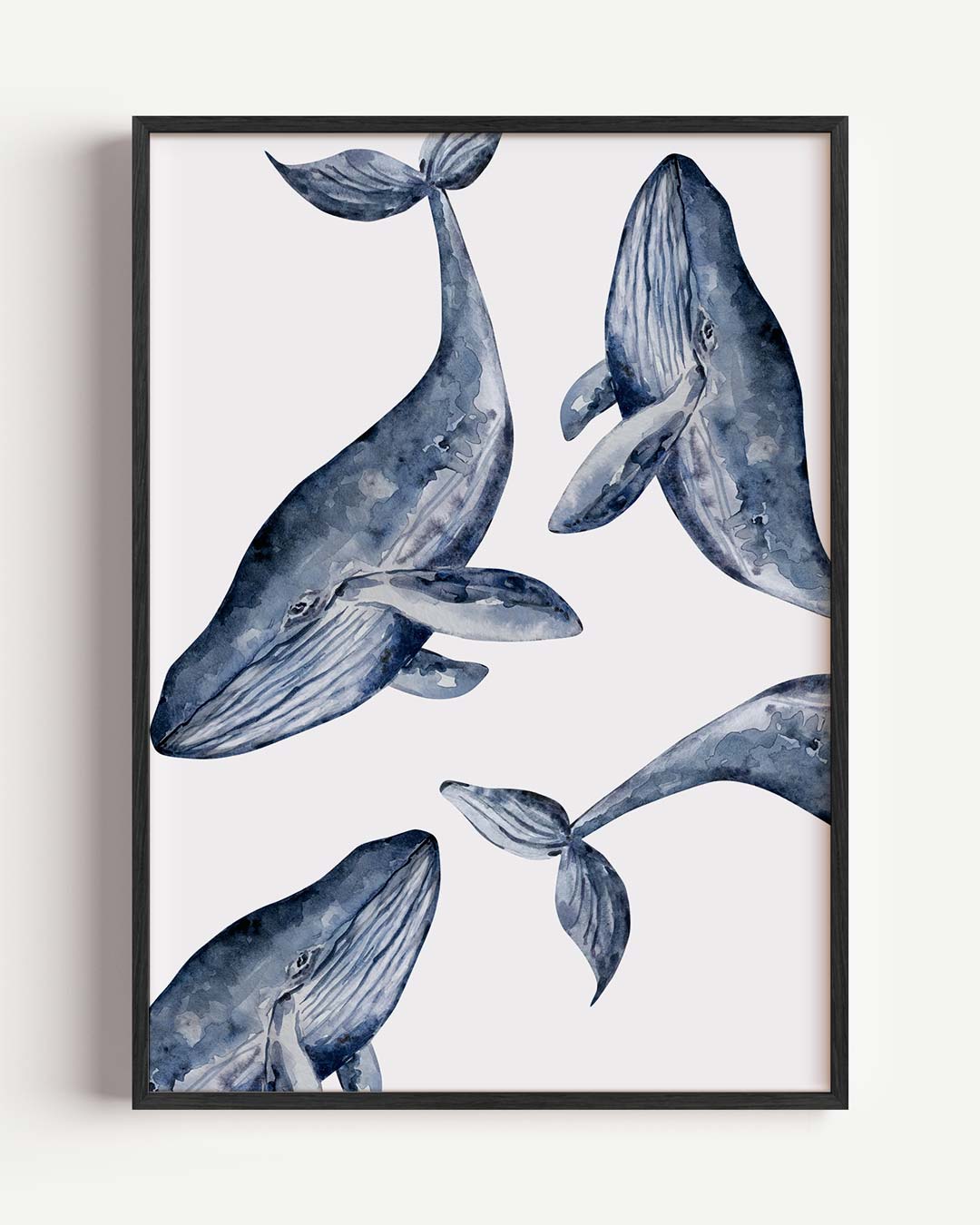 Walvissen – dieren portret poster als wanddecoratie