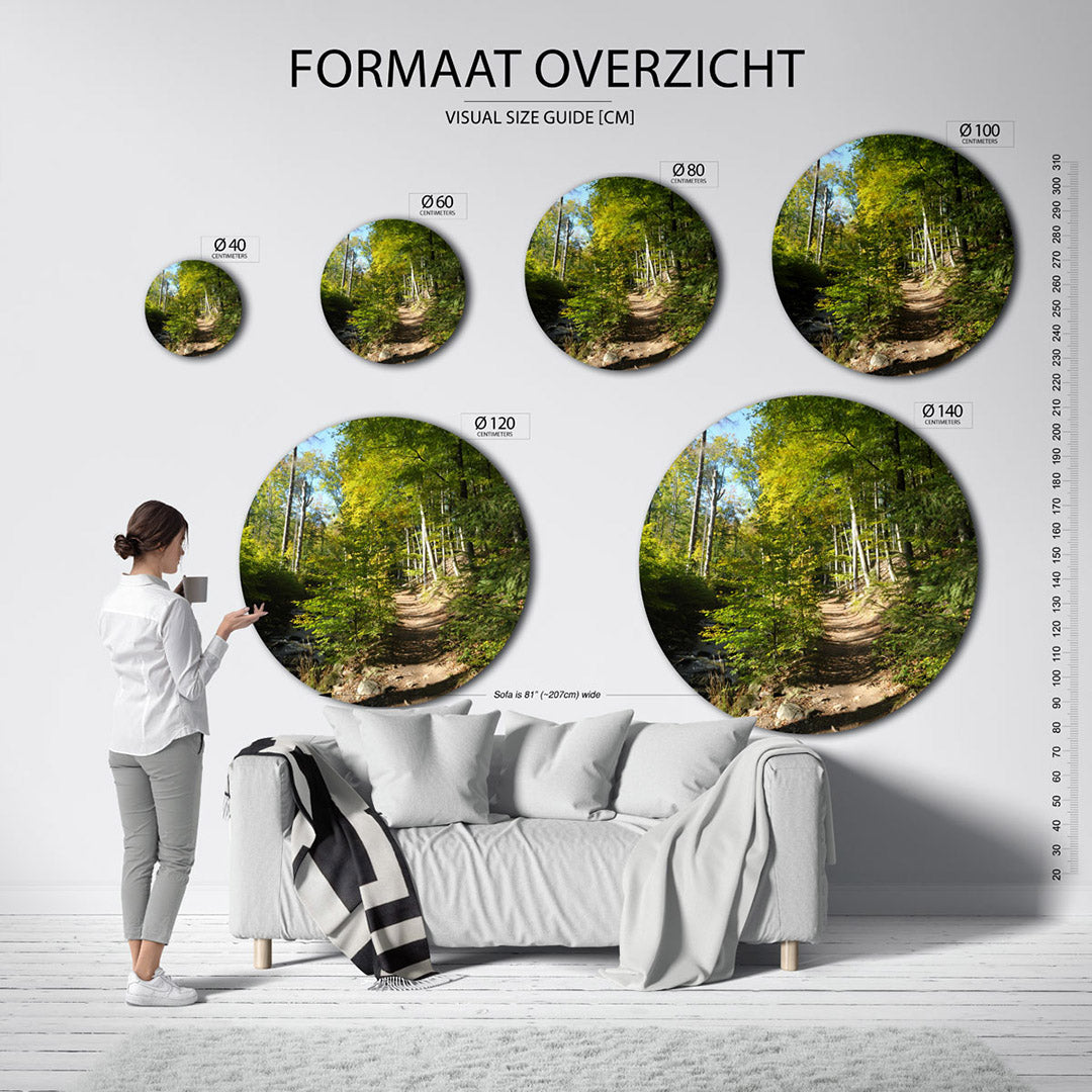 Boswandeling – ronde wanddecoratie met fotografie