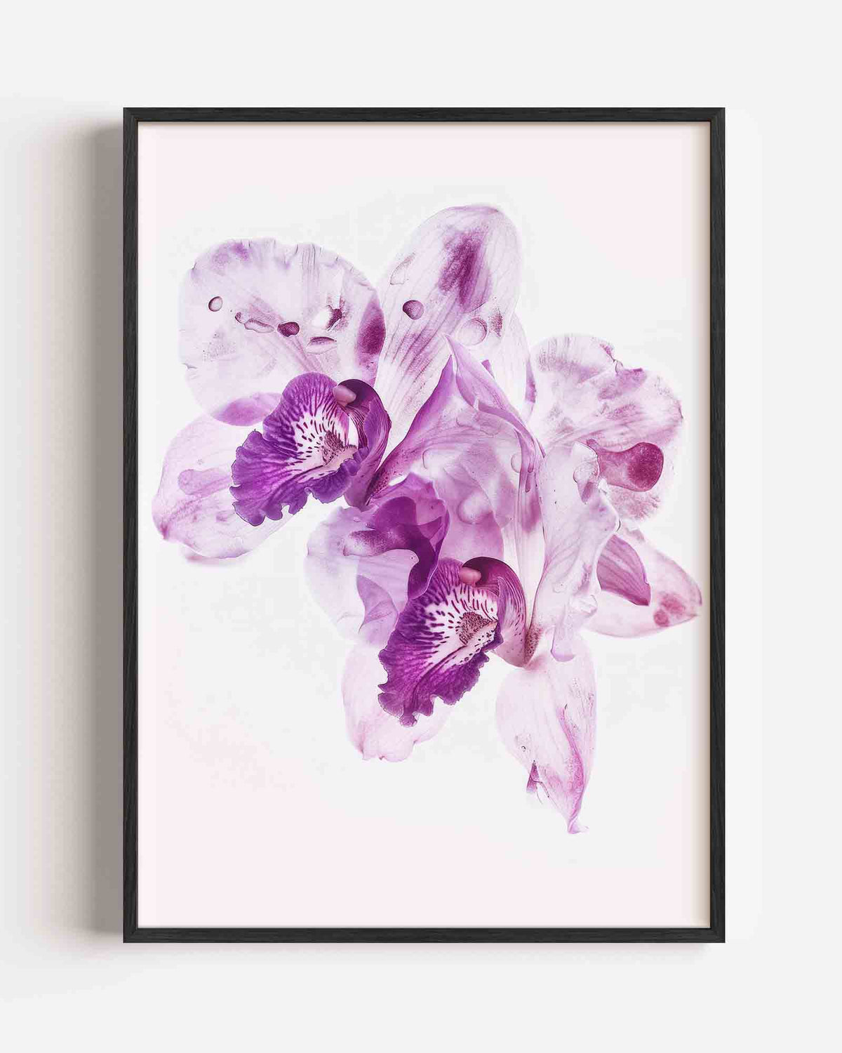 Paarse orchideeën – kleurrijke abstracte portret poster als wanddecoratie