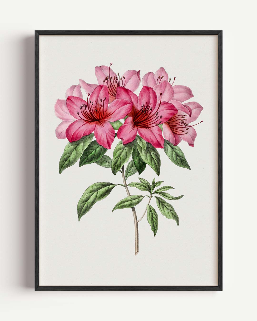 Prachtige Roze Bloemenpracht – Popart en Streetart portret poster als wanddecoratie