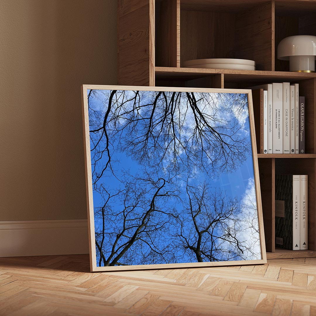 Boomtakken tegen lucht poster – detailweergave – dunne boomtakken strekken zich uit tegen een heldere blauwe lucht met