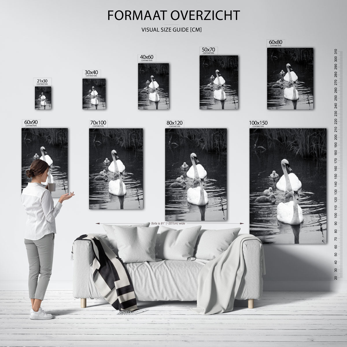 Zwanenfamilie in water poster – sfeerbeeld – een serene scène van een zwanenfamilie die rustig in het water dobbert, omgeven