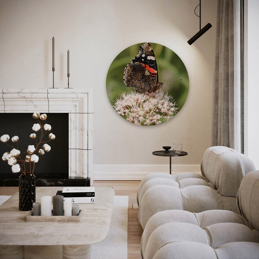 Vlinder op bloem – ronde fotografie wanddecoratie van WallArtistic