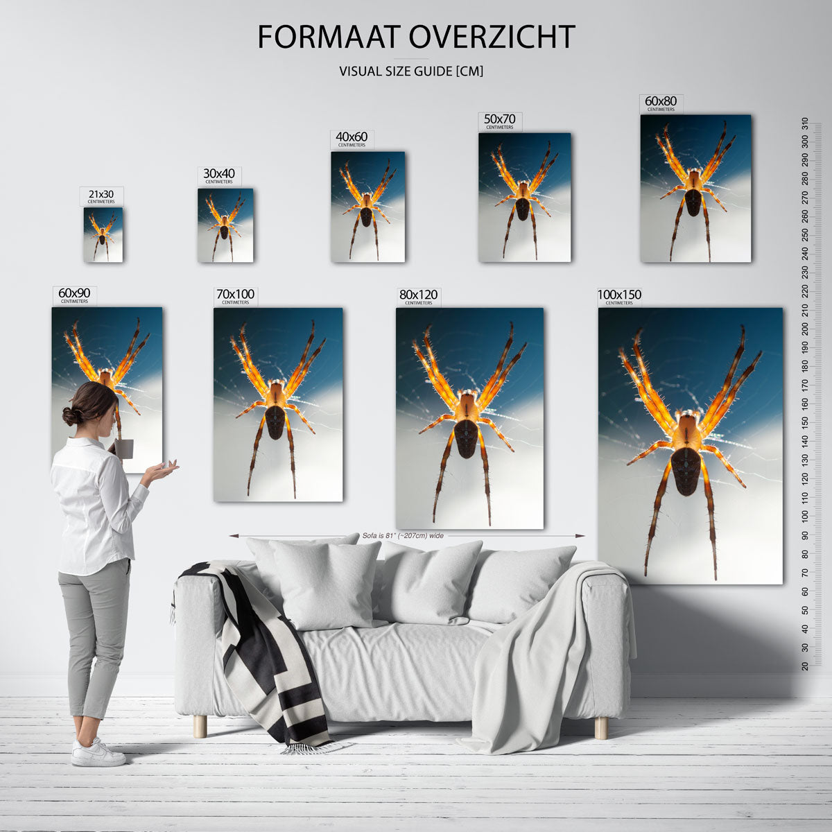 Spin in web poster – sfeerbeeld – deze poster toont een spin in een web met een opvallend kleurcontrast. De oranje poten