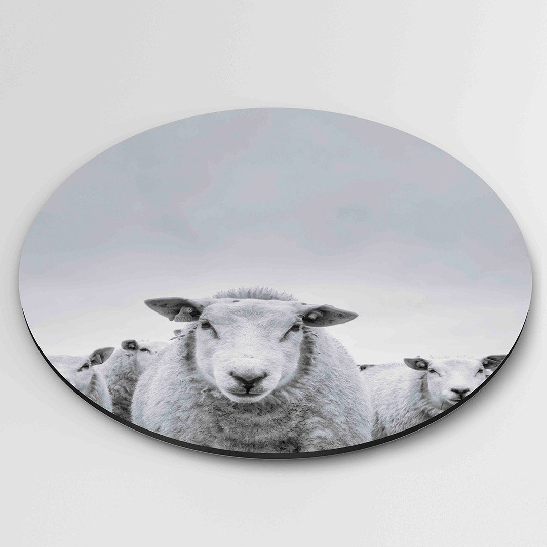 Schapen in zwart wit – muurcirkel fotografie als moderne wanddecoratie