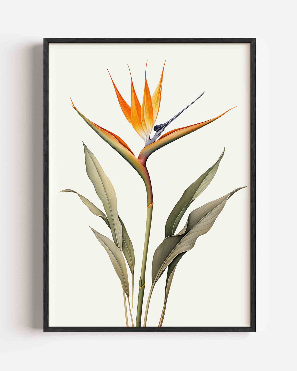 Vogel van paradijs – jungle portret poster als wanddecoratie