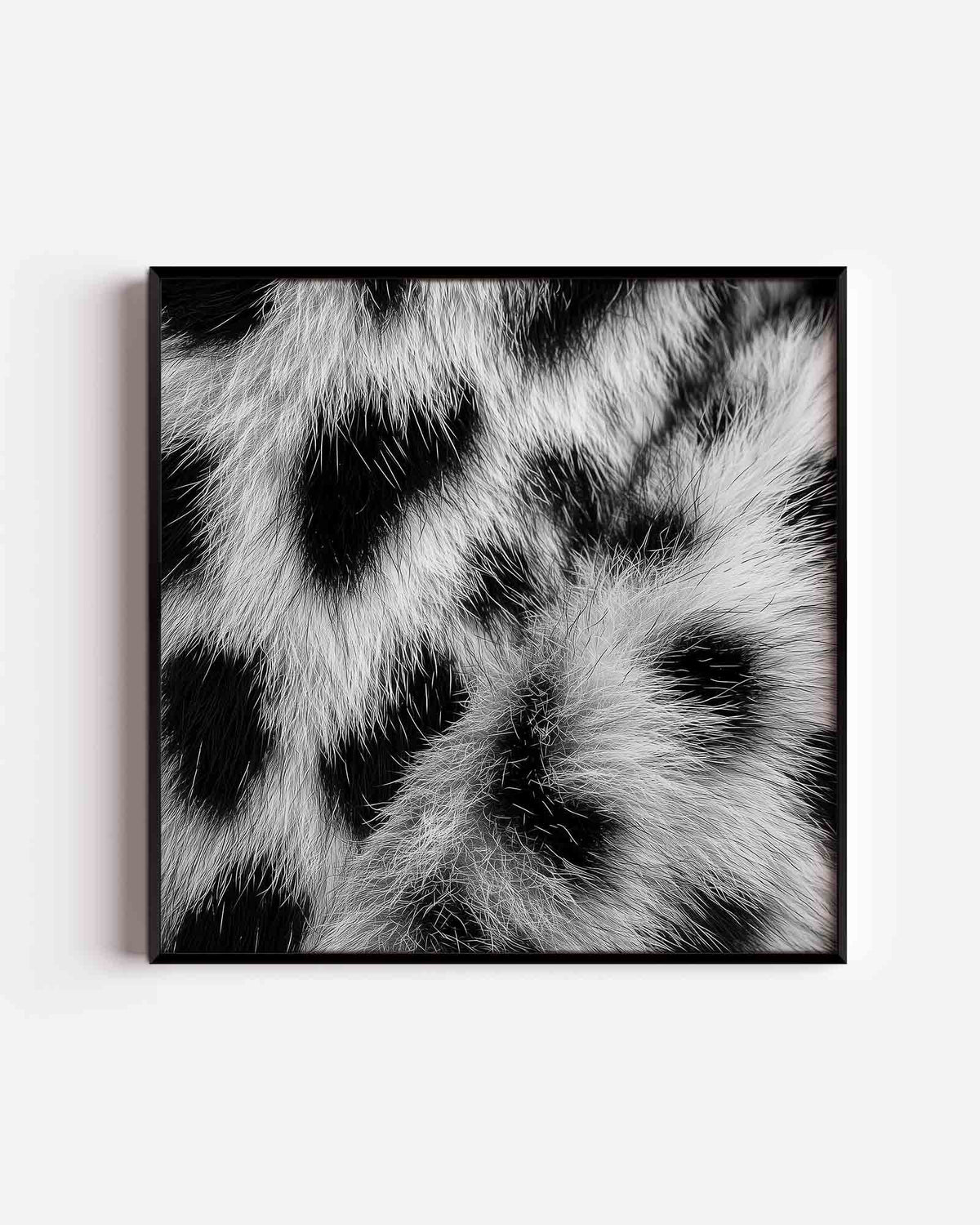 Zwart wit vachtpatroon – jungle vierkante poster als wanddecoratie