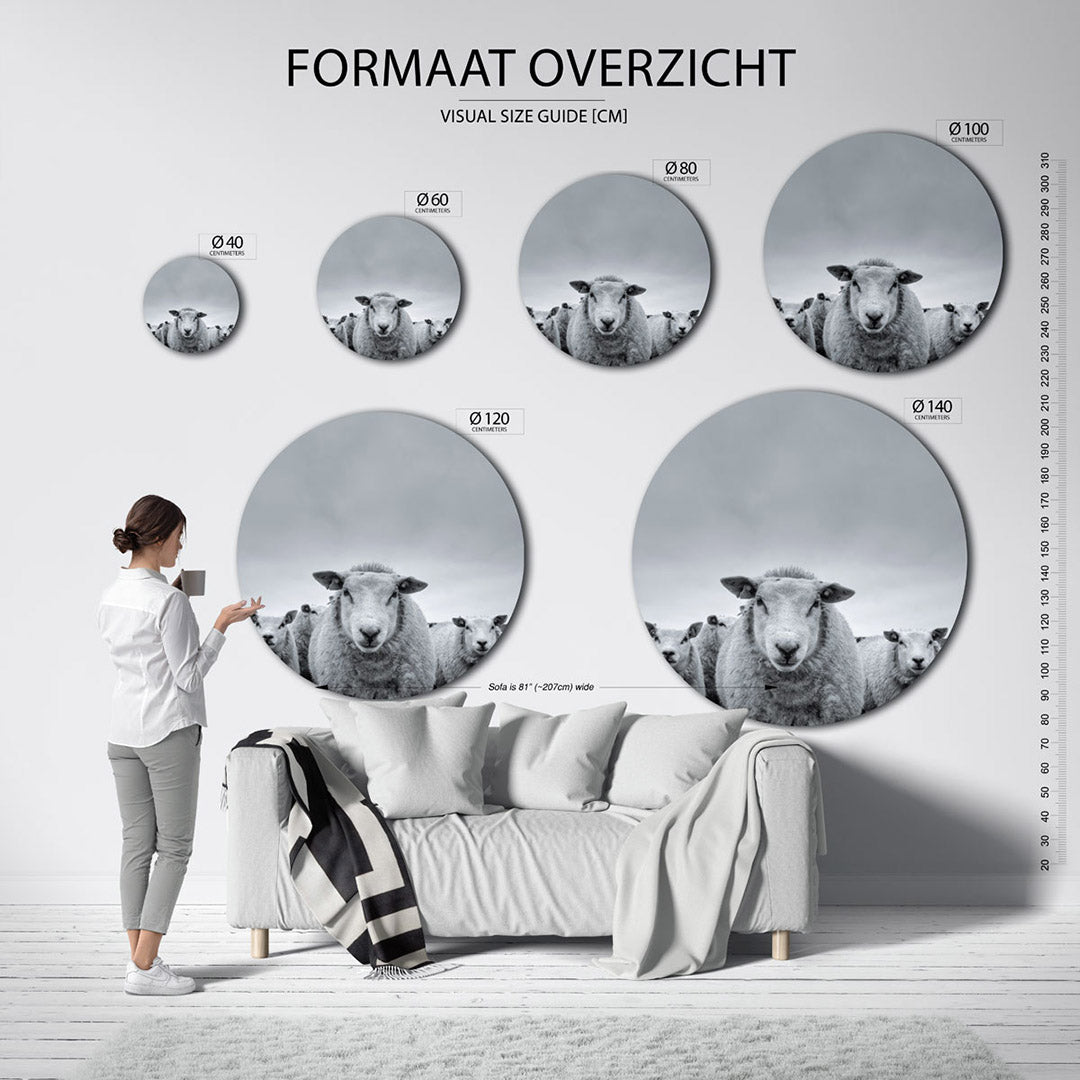 Schapen in zwart wit – ronde wanddecoratie met fotografie