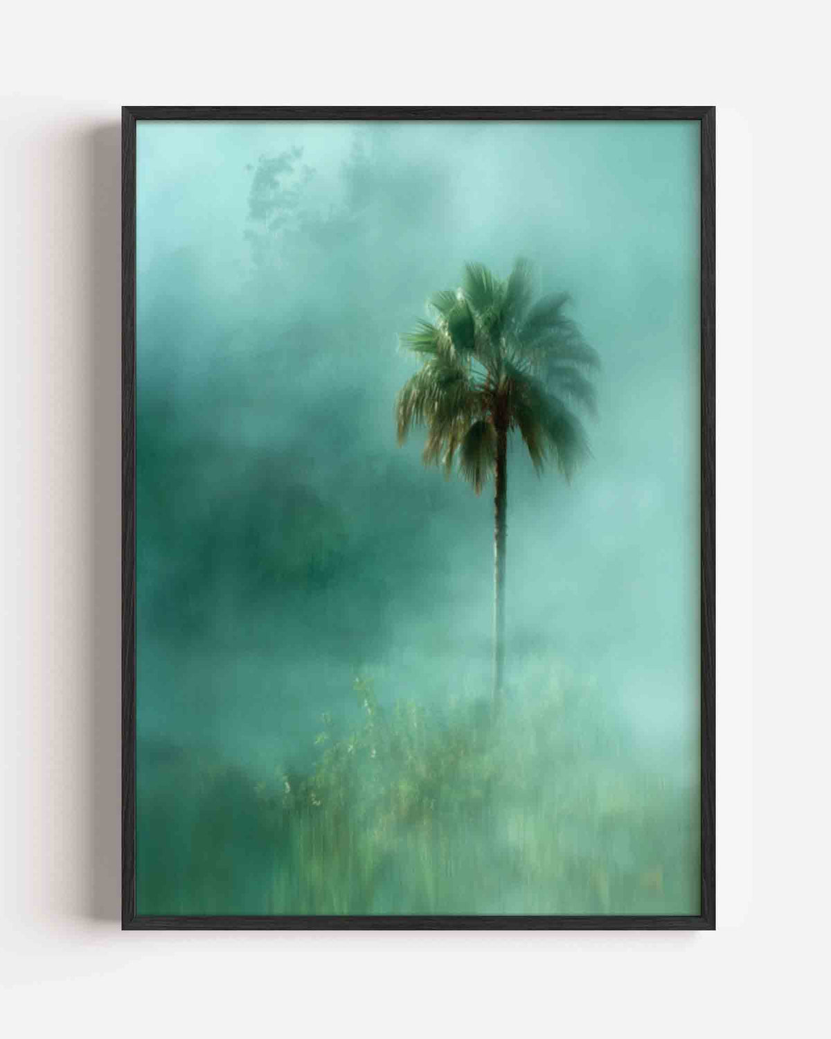 Palmboom in mist – jungle portret poster als wanddecoratie