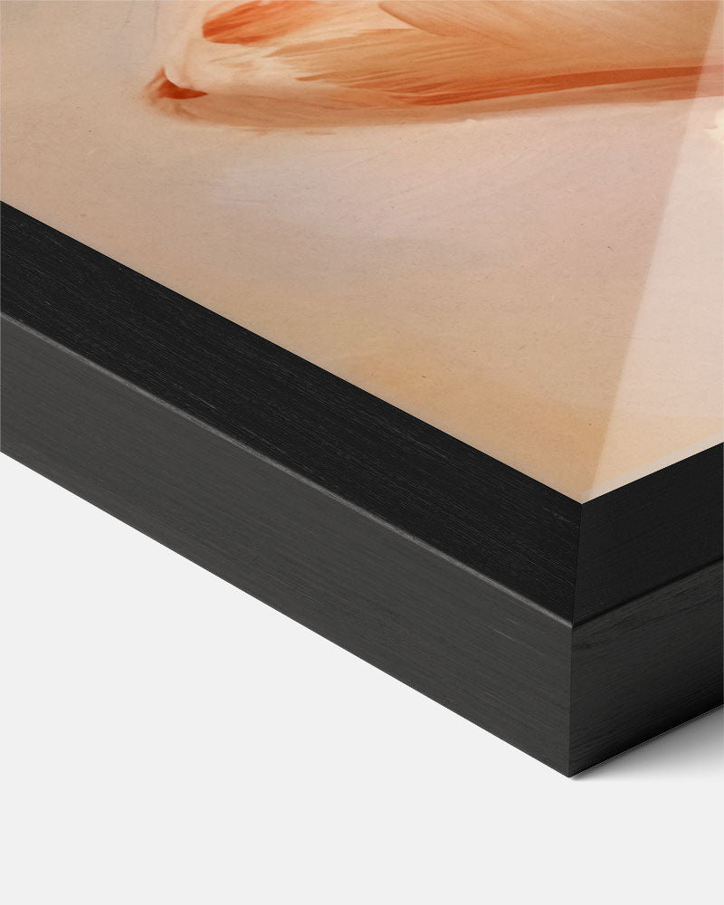 Elegant Schelpkunstwerk – dieren portret poster, afbeelding 7