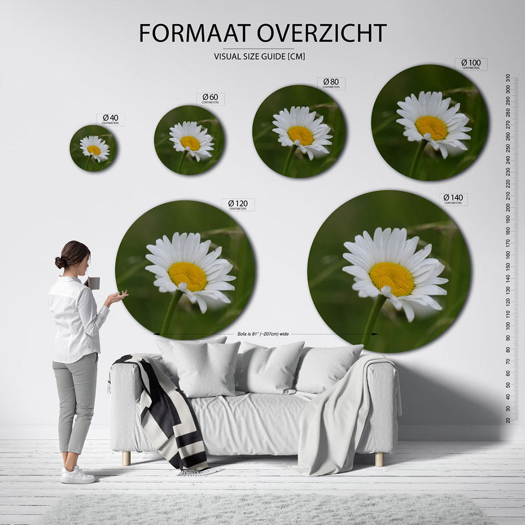 Madeliefje – ronde wanddecoratie met fotografie