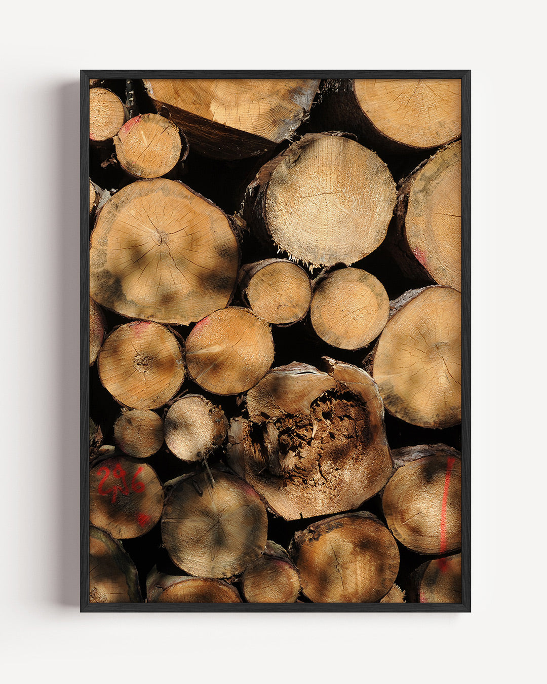 Houtstapel textuur poster – portret wanddecoratie – deze poster toont een stapel boomstammen met zichtbare jaarringen en