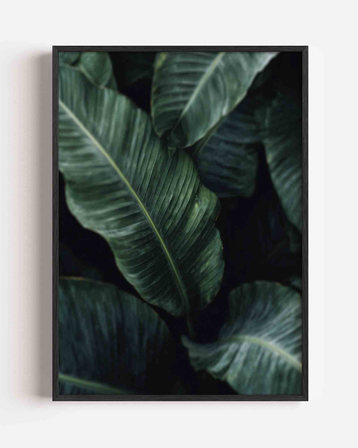 Groene bladeren – jungle portret poster als wanddecoratie