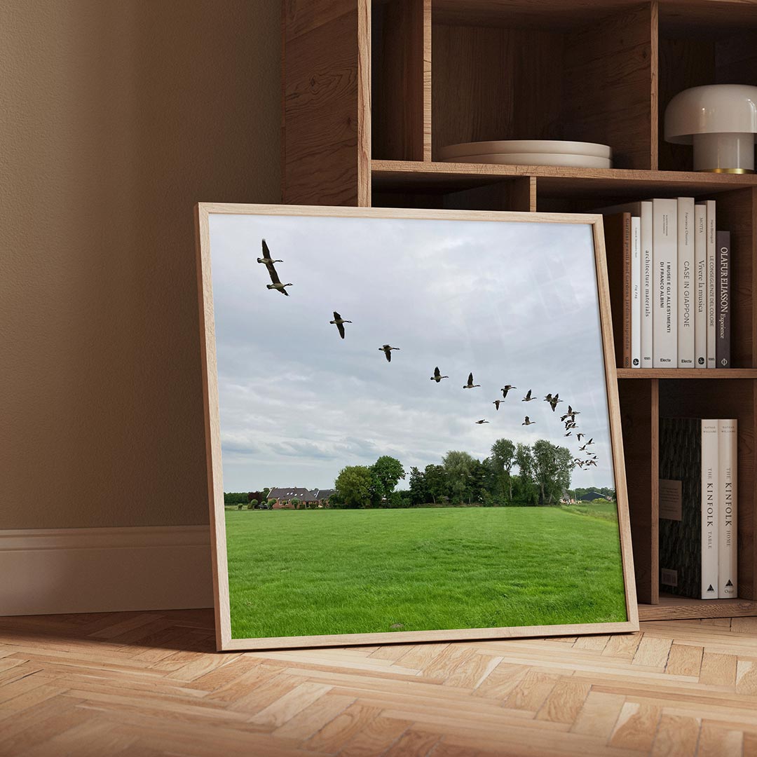 Vliegende vogels poster – detailweergave – een groep vogels vliegt in formatie over een uitgestrekt groen veld met bomen en