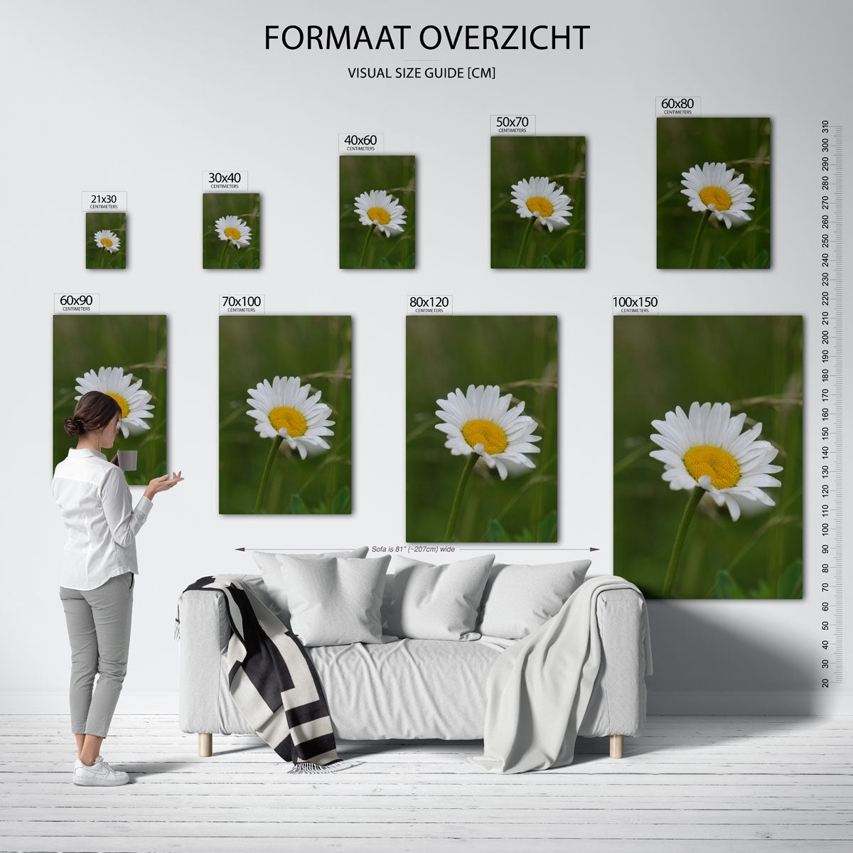 Bloem in natuur poster – sfeerbeeld – een enkele bloem met witte bloemblaadjes en een geel hart, omgeven door een groene