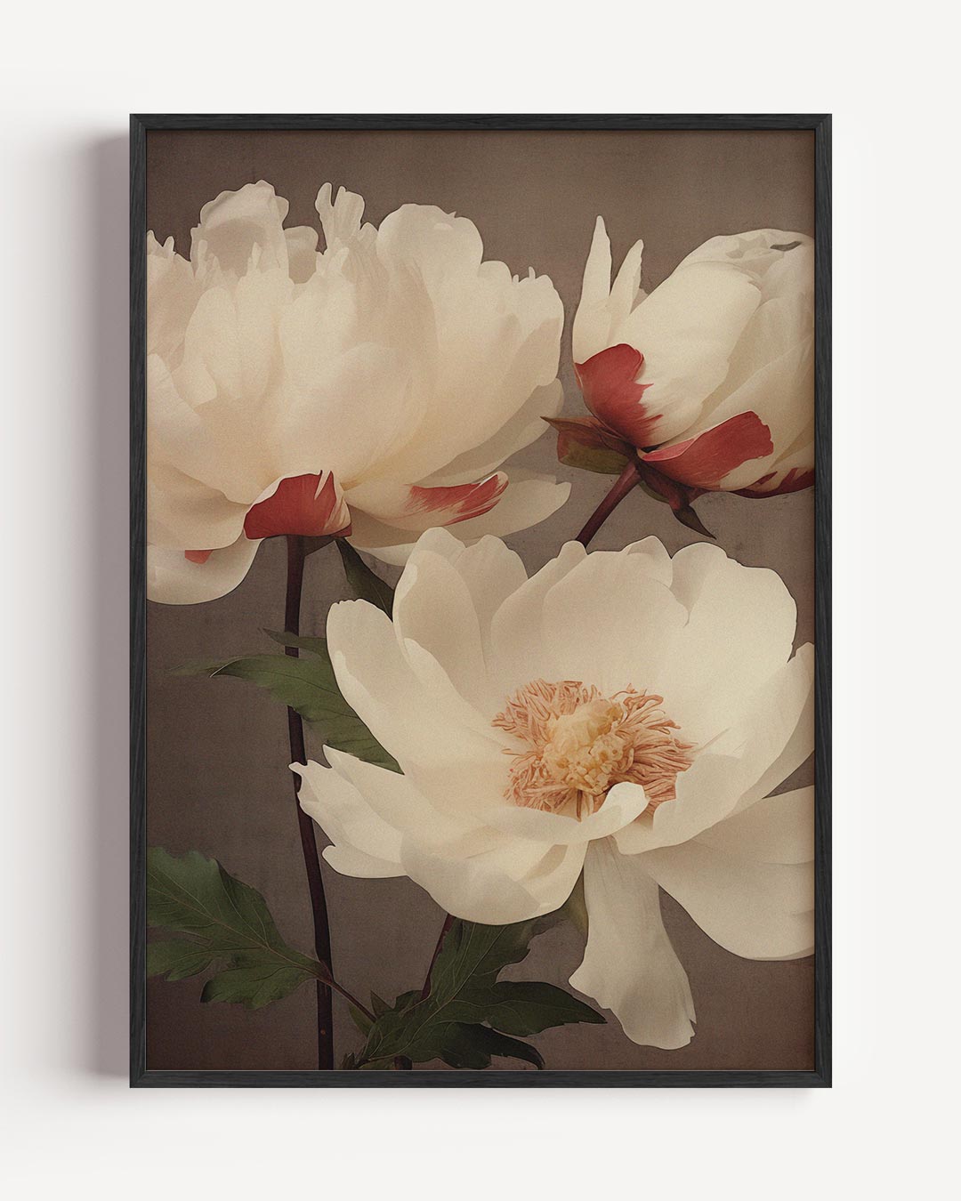 Witte Pioenrozen – vintage portret poster als wanddecoratie