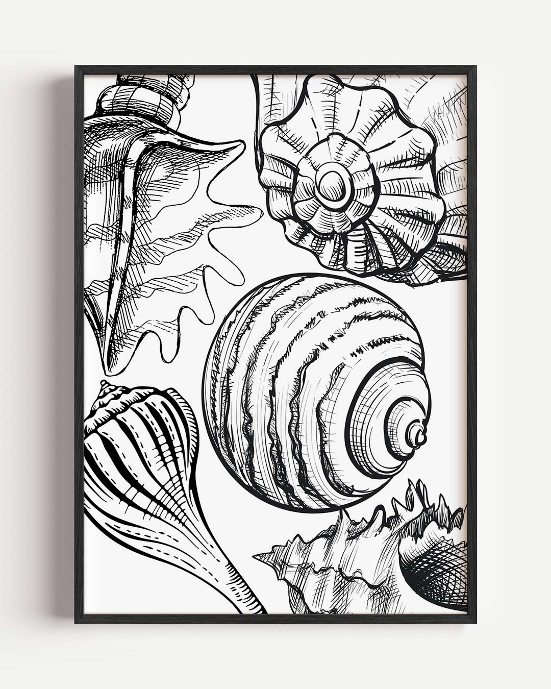 Schelpen Kunstposter – zeedieren portret poster als wanddecoratie
