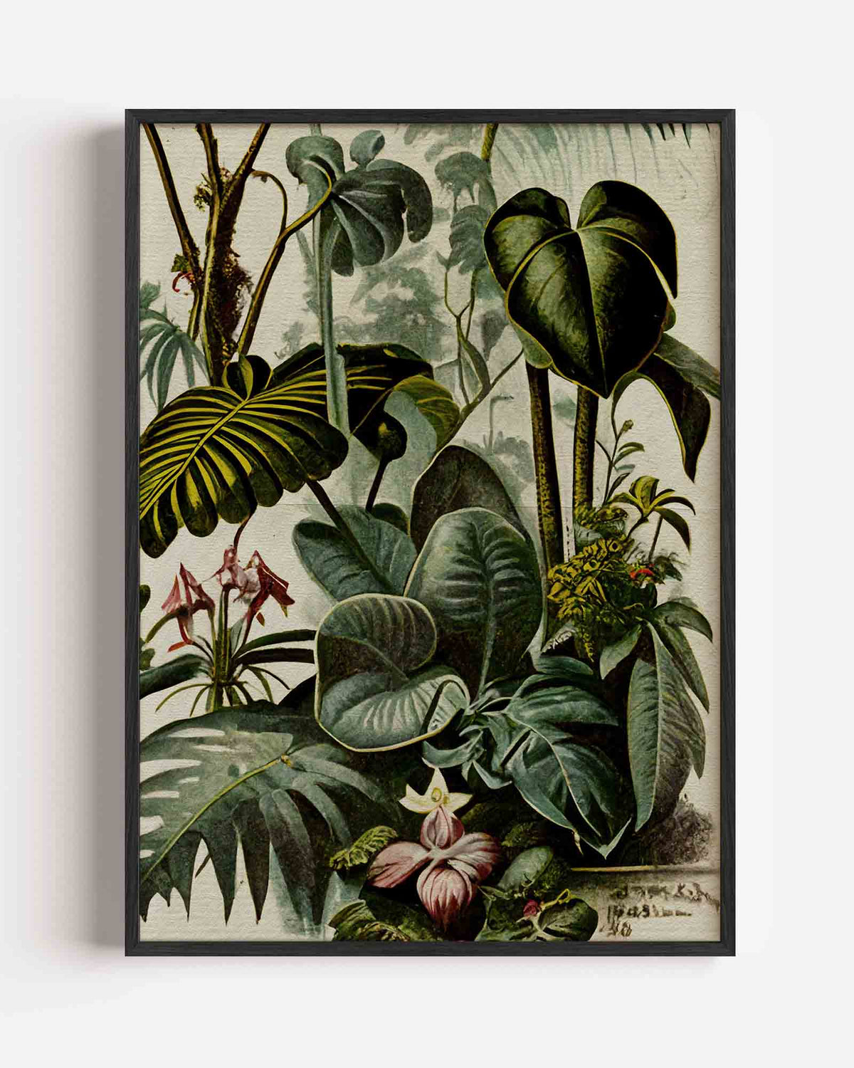 Tropische planten – jungle portret poster als wanddecoratie