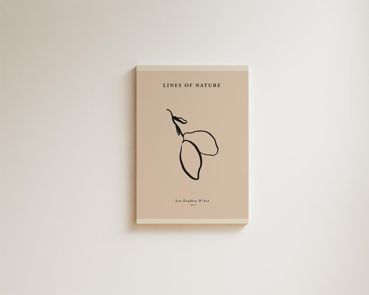 Minimalistische Natuurlijnen – kunstwerk met zwarte baklijst