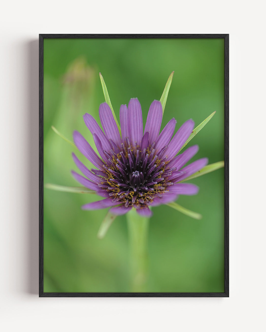 Paarse bloem close up poster – portret wanddecoratie – deze poster toont een gedetailleerde close-up van een paarse bloem