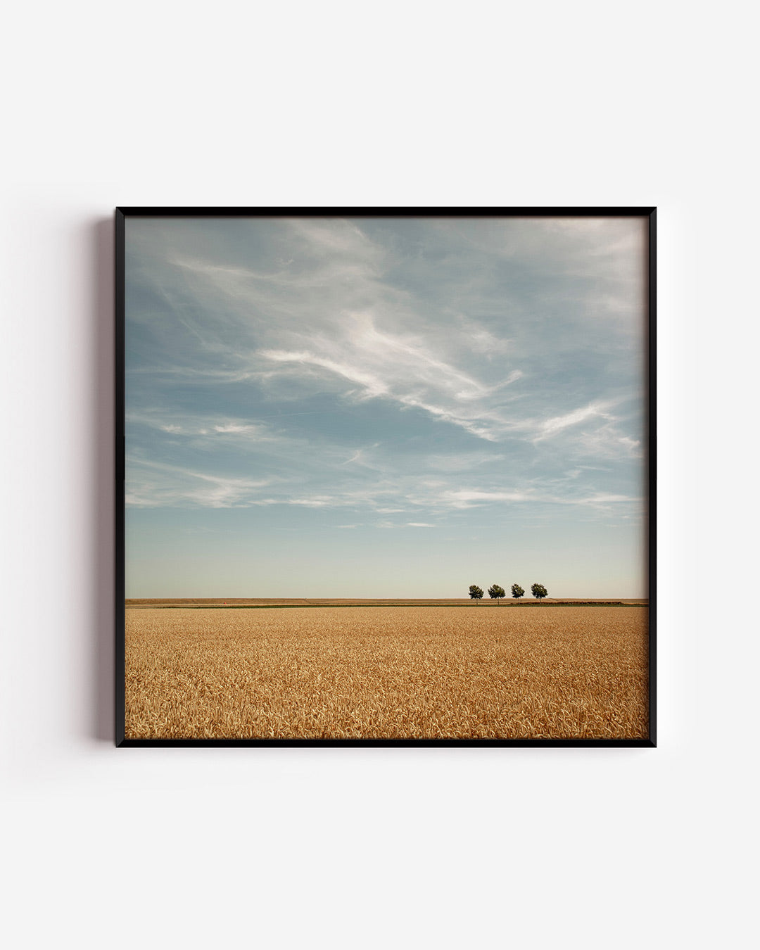 Rustige landschap poster – vierkante wanddecoratie – deze poster toont een uitgestrekt veld onder een heldere lucht met