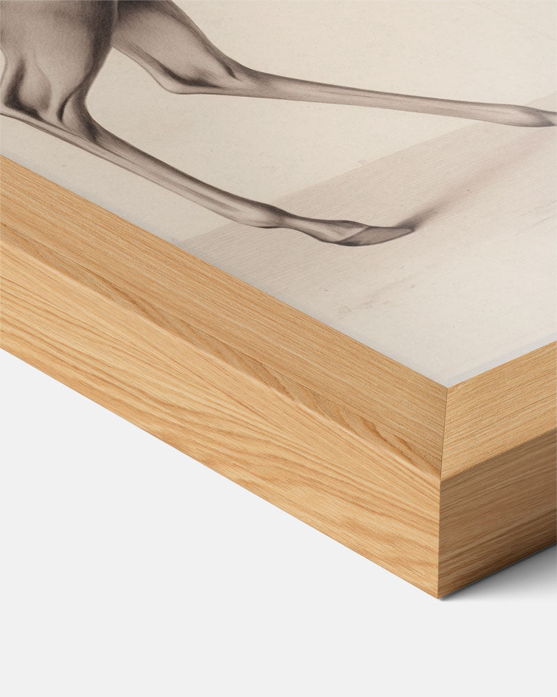 Elegante Hertenschets – staande vintage wanddecoratie van WallArtistic