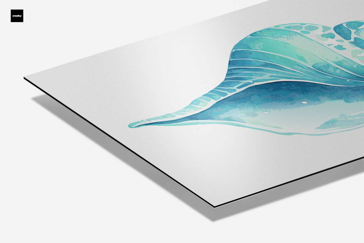 Turquoise Schelp Illustratie – canvas kunstwerk als wanddecoratie