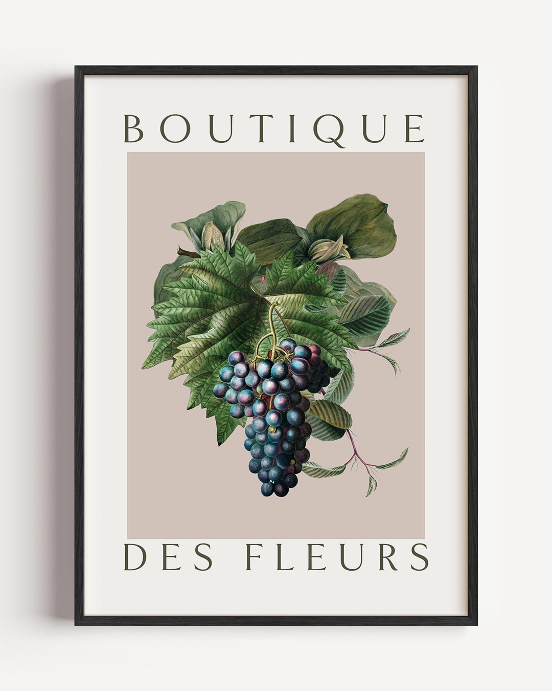 Vintage Druiven – botanische portret poster als wanddecoratie