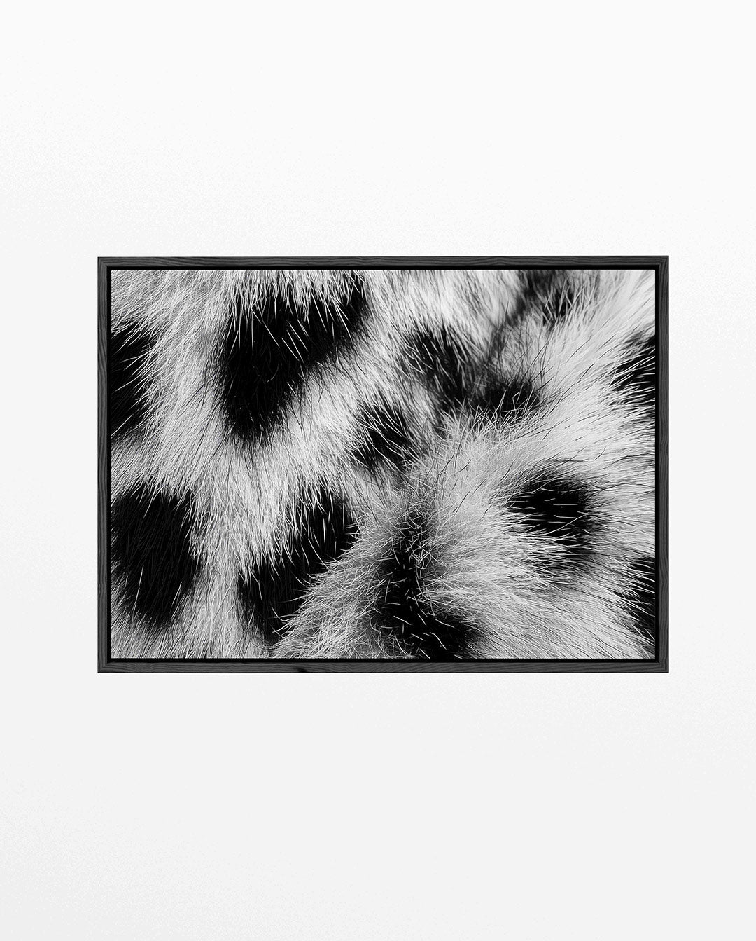 Zwart wit vachtpatroon – liggend jungle kunstwerk