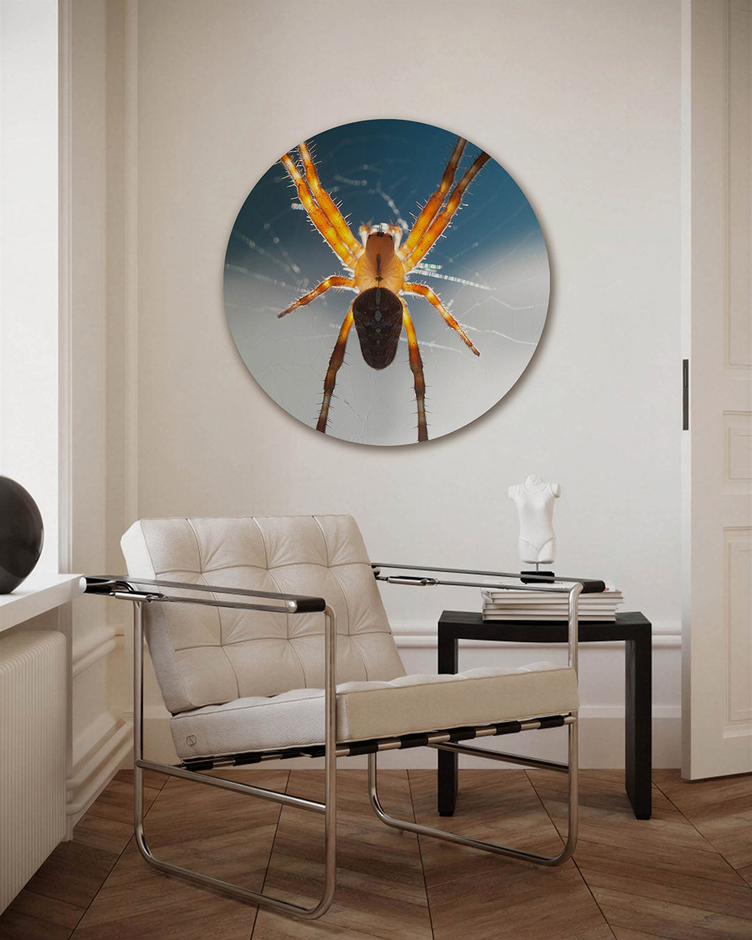 Spin in web – fotografie muurcirkel als ronde wanddecoratie