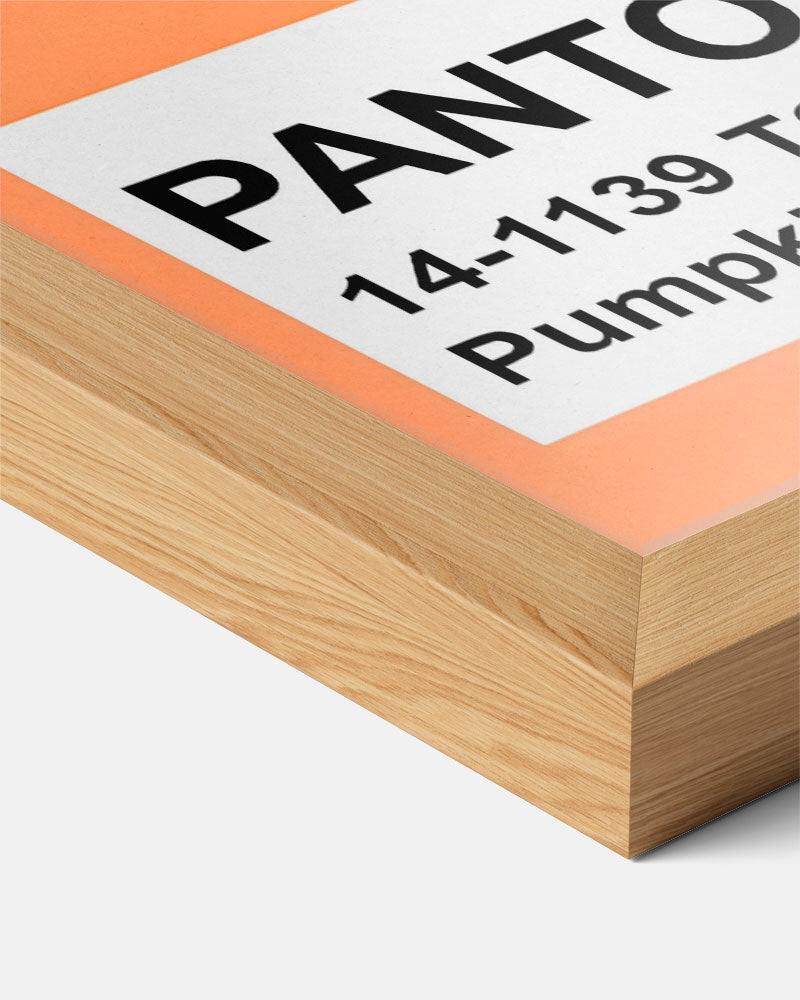 Pantone Stijlvolle Pumpkin – pop art streetart portret poster, afbeelding 7